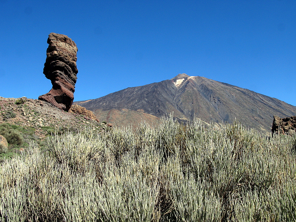 IMG_0126.JPG - Teide jalamil