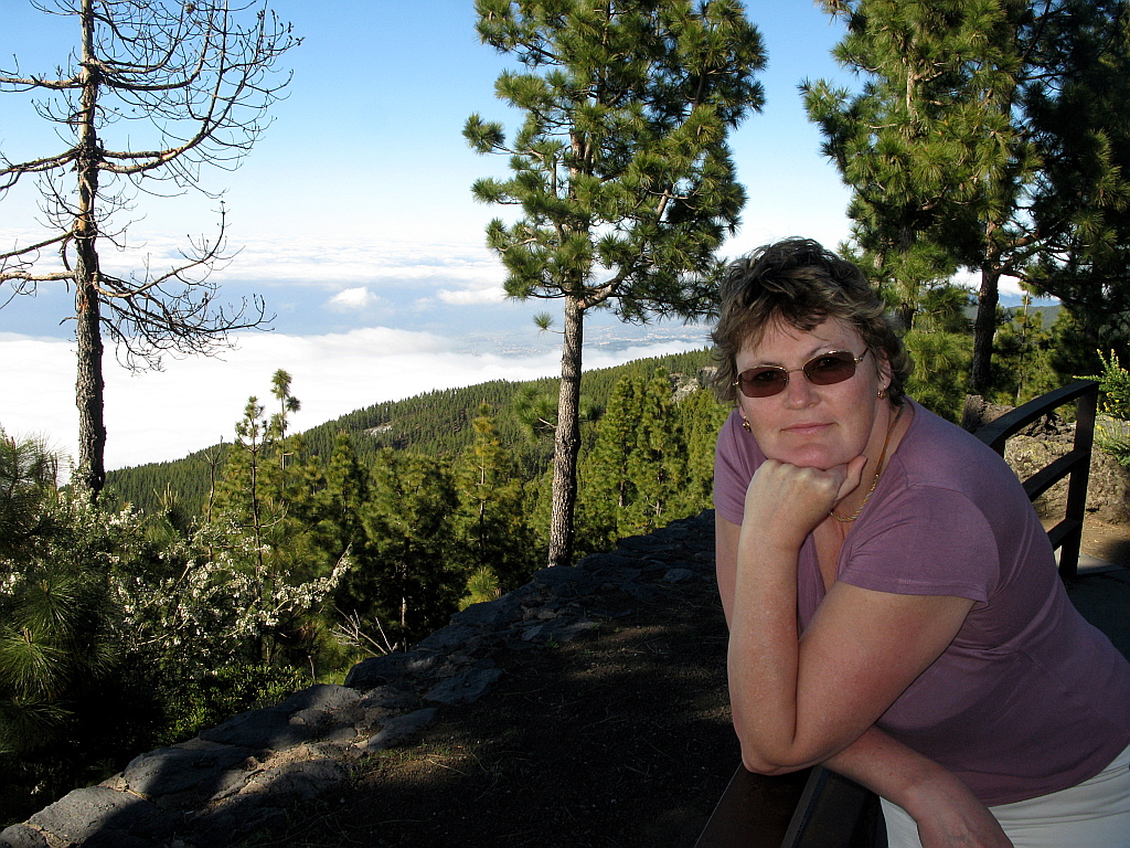IMG_0577.JPG - Mirador Canadas del Teide