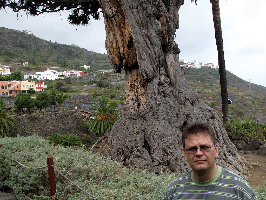 IMG_0580.JPG - Icod de los Vinos botaanikaaed