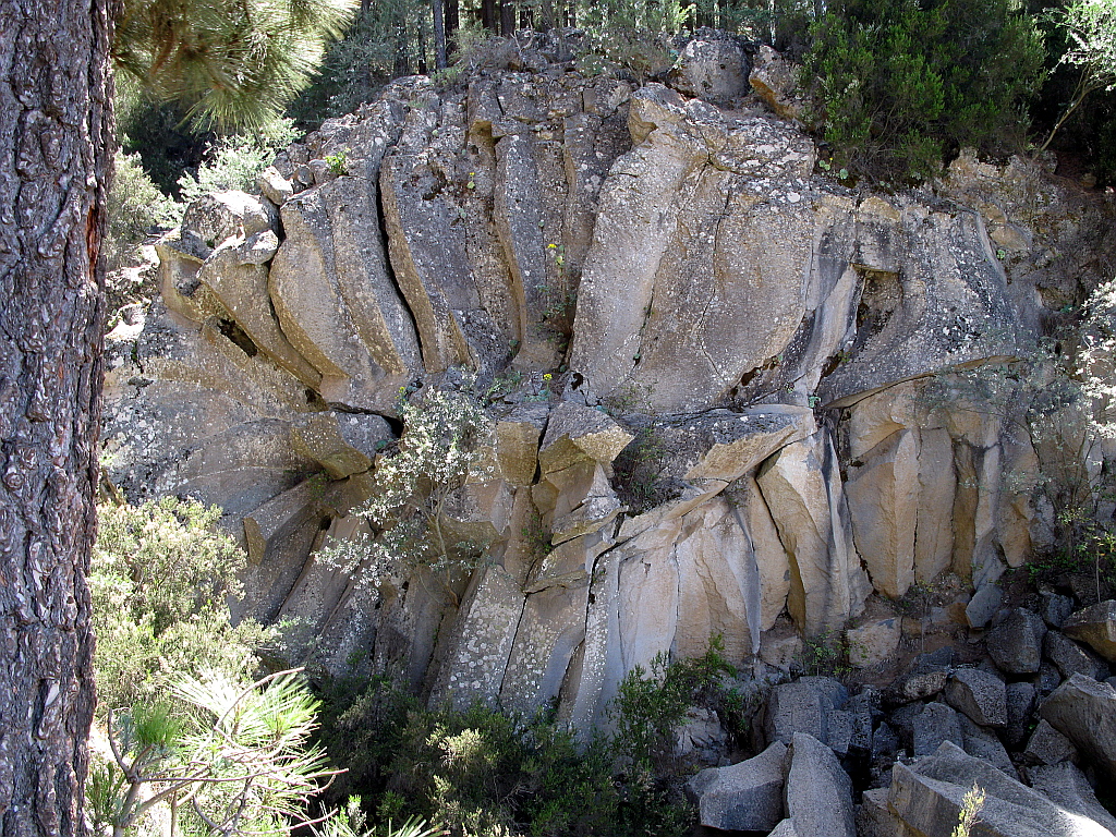 IMG_0646.JPG - Kivist roos (looduslik)